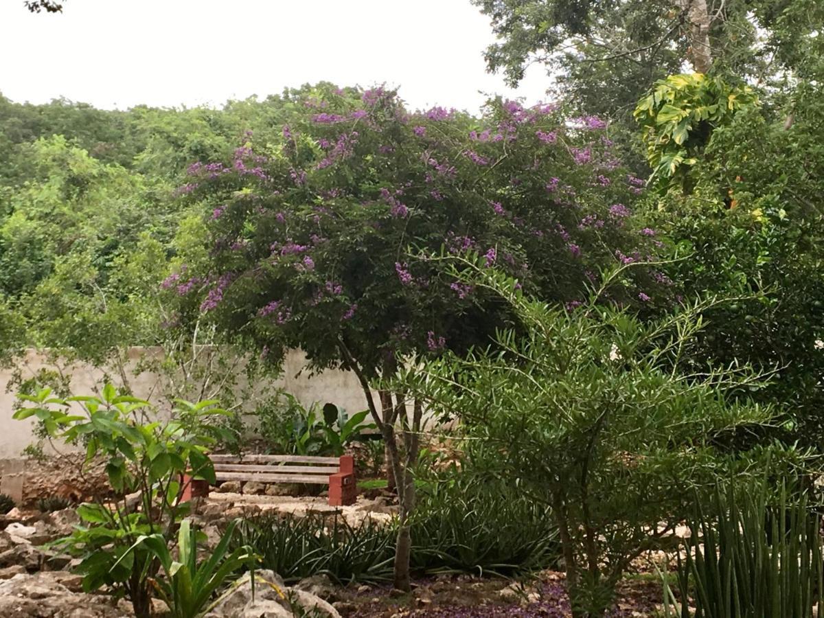 The Pickled Onion B&B And Restaurant Uxmal Santa Elena Bagian luar foto